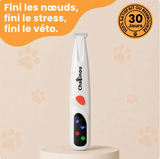 Tondeuse pour chat