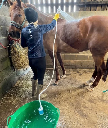 Perfect for horses